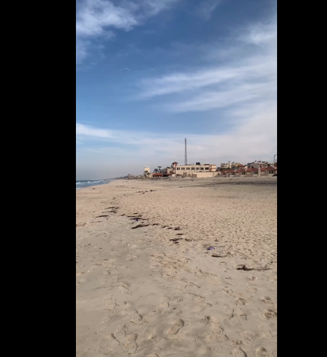 beach in winter