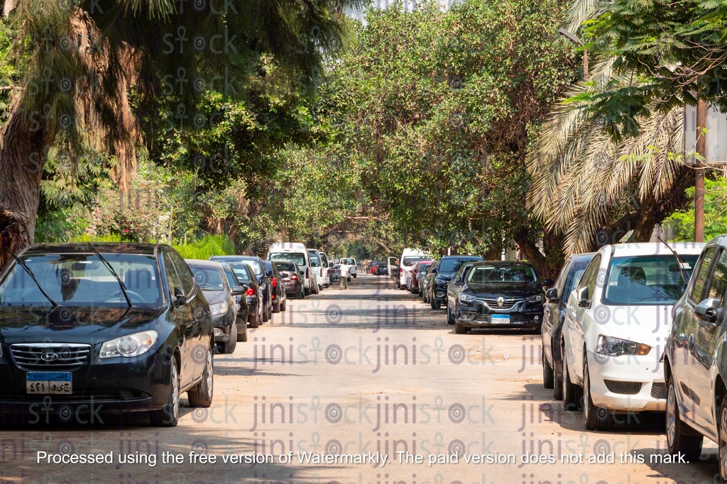 Maadi Greenery Road