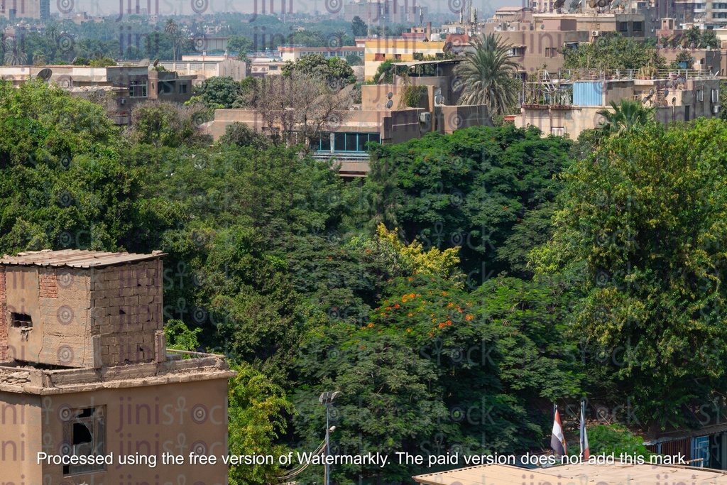 Maadi High Trees