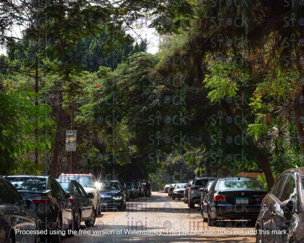 Maadi street during the day