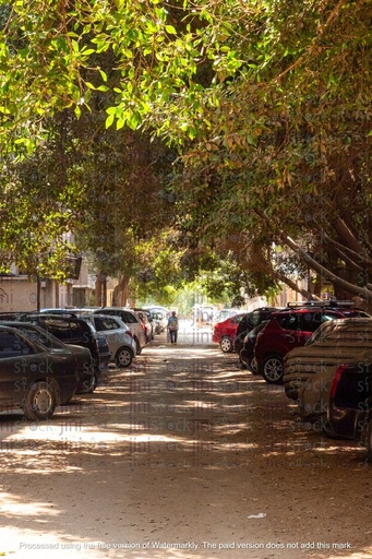 road in the summer- stock image