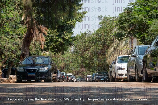 Street of maadi in the morning- stock image