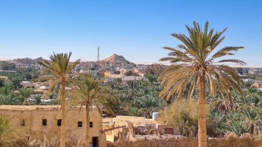 جمال الطبيعة فى واحة سيوة .. The beauty of nature in Siwa Oasis in Egypt - stock image