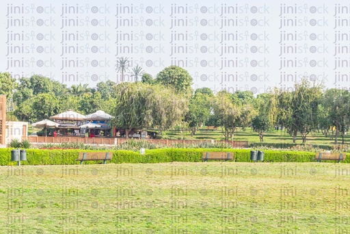 wide field of green space in Azhar