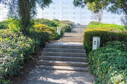 park, path, bench day background