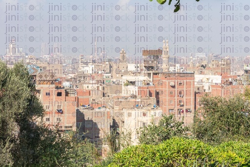 view for old buildings from bushes and trees