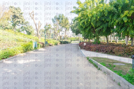 Road or pathway in a forest garden