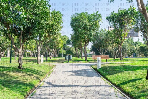 Road or walk way in the middle of a garden