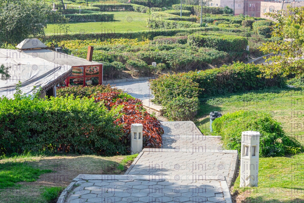 Stairs in the middle of a wonderful park