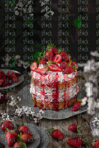 Strawberry cake stock image