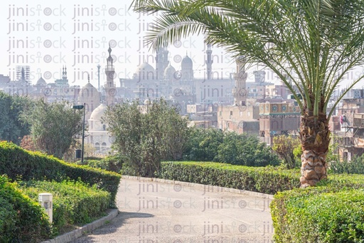 A curve road or street in the middle of the garden