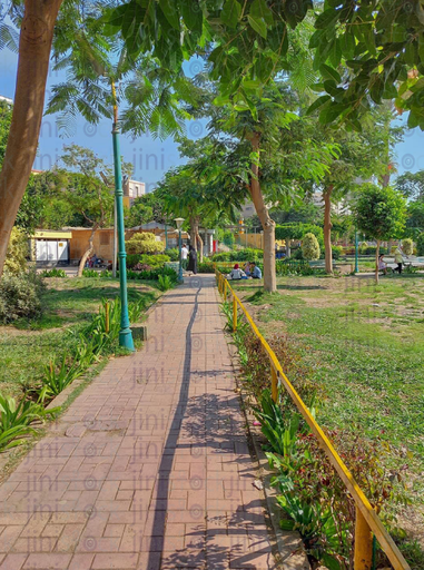 park for kids. green landscape.