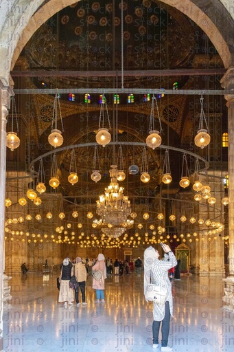 MOhamed ali mosque gate