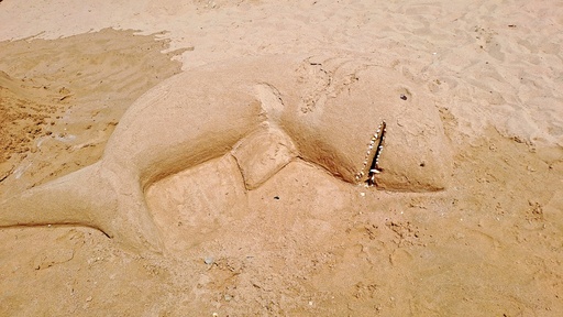 sand from one of the beaches in Egypt and a creative work of art in the sand in the shape of a shark.