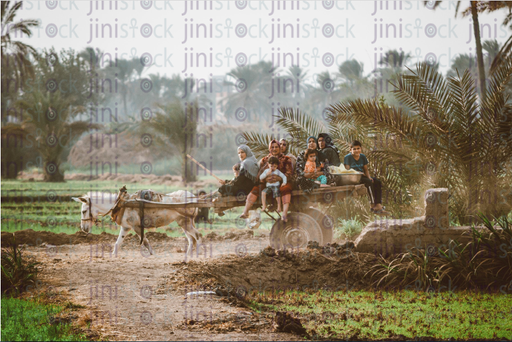 egyptain farmer women back from the field - stock image
