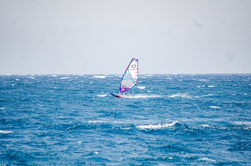 Sea surfing in the red sea.