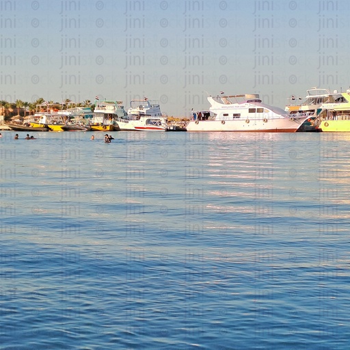 يخوت وناس فى البحر .. yachts and people in the red sea