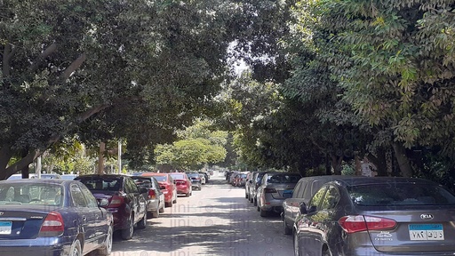 An empty street in Cairo had cars parked on its two sides