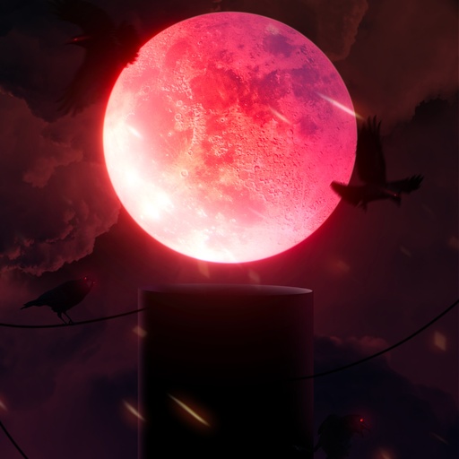 Red moon and birds