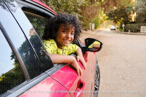 boy with curly hair looking from the car seat window