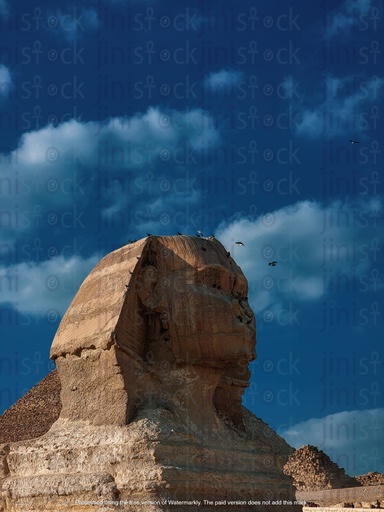 Sphinx head in the morning