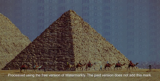 camel walking in line infront of pyramides