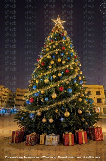 Christmas tree on the sand