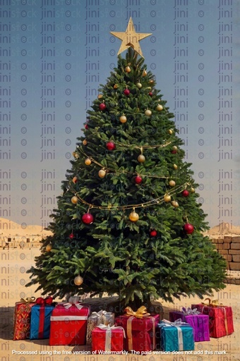 Christmas tree in the desert