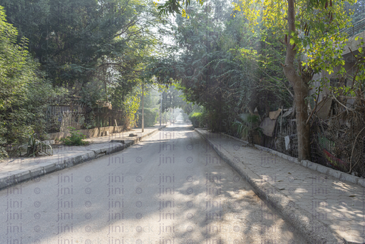 morning sun rays in maadi street