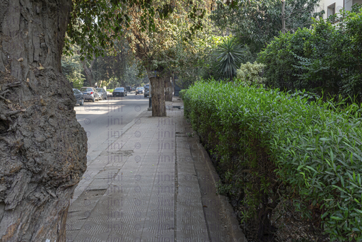 side walk beside a garden