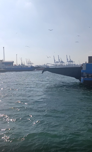 ferry entering portfouad harbour