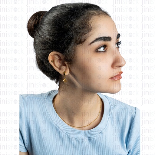 Close-up on an Egyptian woman's face with black hair up