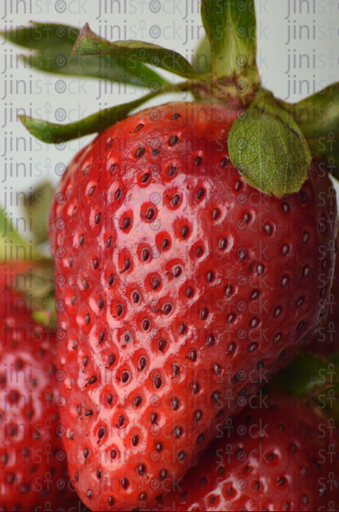 Close-up strawberries - stock image