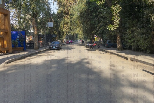 Maadi road front view with trees