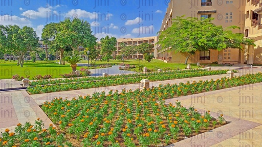 حديقة خضراء في فندق كخلفية للتصميمات، وممر للناس للعبور بين الأعشاب الخضراء والزهور والنباتات.