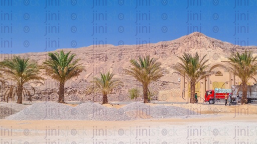 Red sea mountains and palm trees in the desert