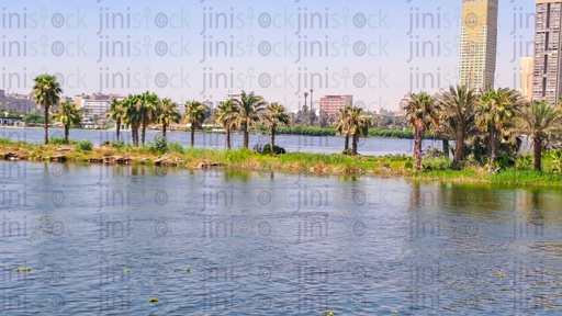 The Great Nile River, palm trees, and green grasses - Nile Corniche- Maadi Cornish