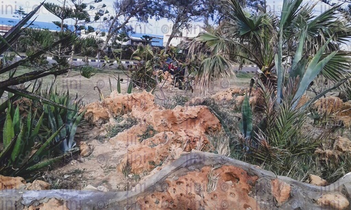 A stunning park on a beach in Alexandria Egypt