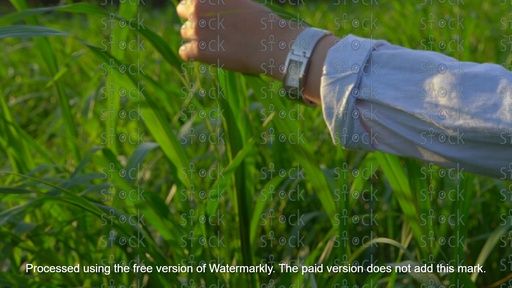 رحلة ريفية بين المزارع