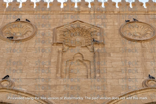  الحمام على أسوار المساجد