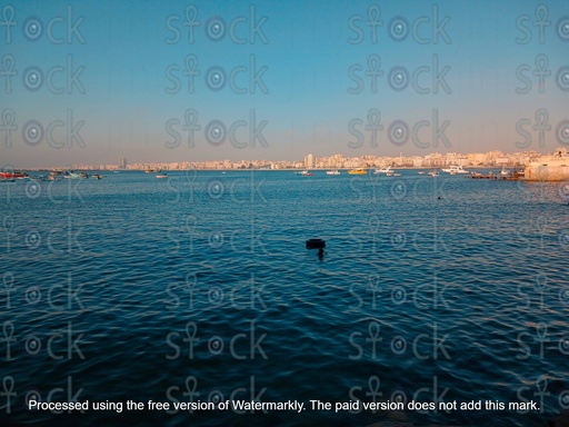 Alexandria sea during the day