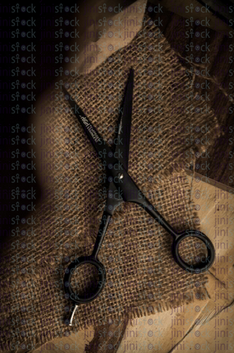 black scissors - stock image