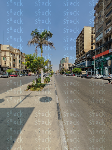 شارع بأشجار في مصر الجديدة
