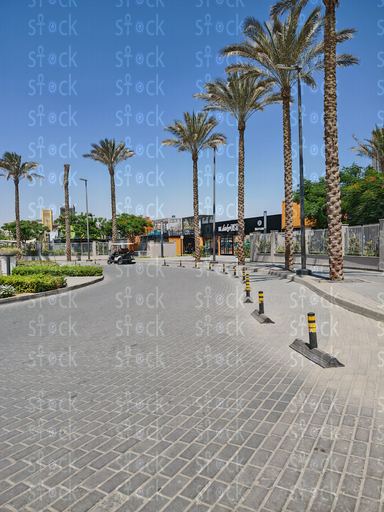 Bright open plaza with palm planters 