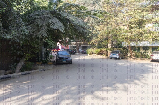 Maadi streets in the morning with trees on the roadside high-quality stock image
