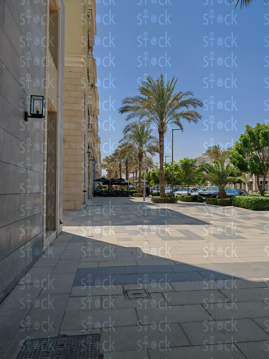 Tall palm beside building corner 