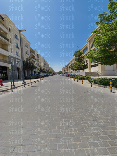 رصيف تحيط به الأشجار