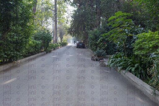 Road in a maadi with trees high stock images
