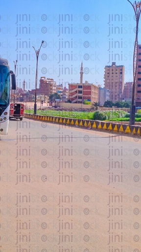 A street without cars or buses passing through it in the Egyptian countryside, with a farm, buildings, and a school in the background of the photo.