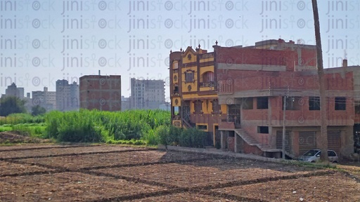 An Egyptian farm in the countryside with rural buildings